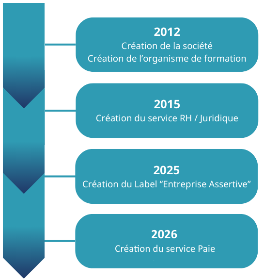 Histoire SYNAMBU Nous découvrir : Histogramme de Synambu Consulting, son expérience, ses expertises
